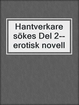 cover image of Hantverkare sökes Del 2--erotisk novell