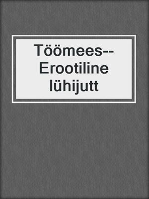 cover image of Töömees--Erootiline lühijutt